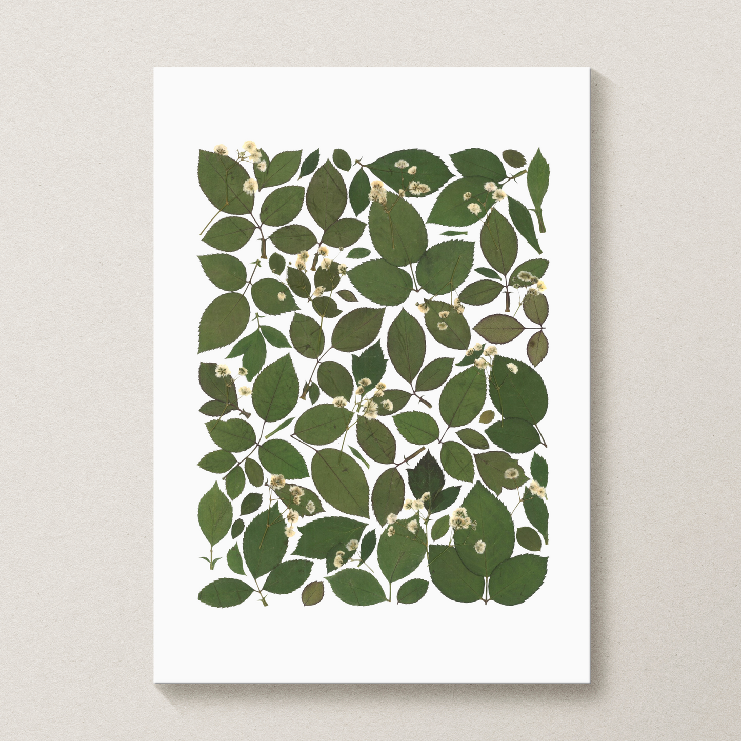 Herbier Florilège - 30x40cm