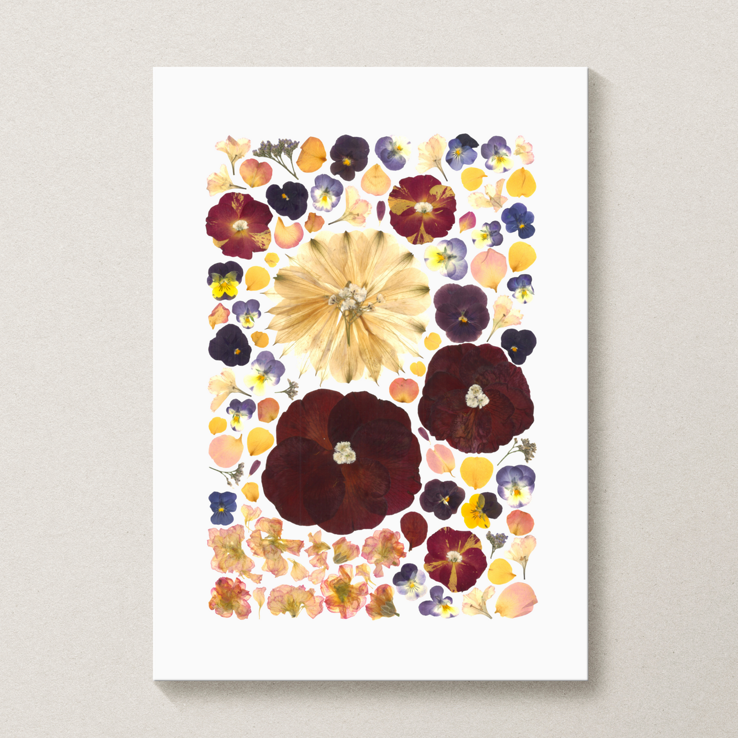 Herbier L'enchanteur - 30x40cm