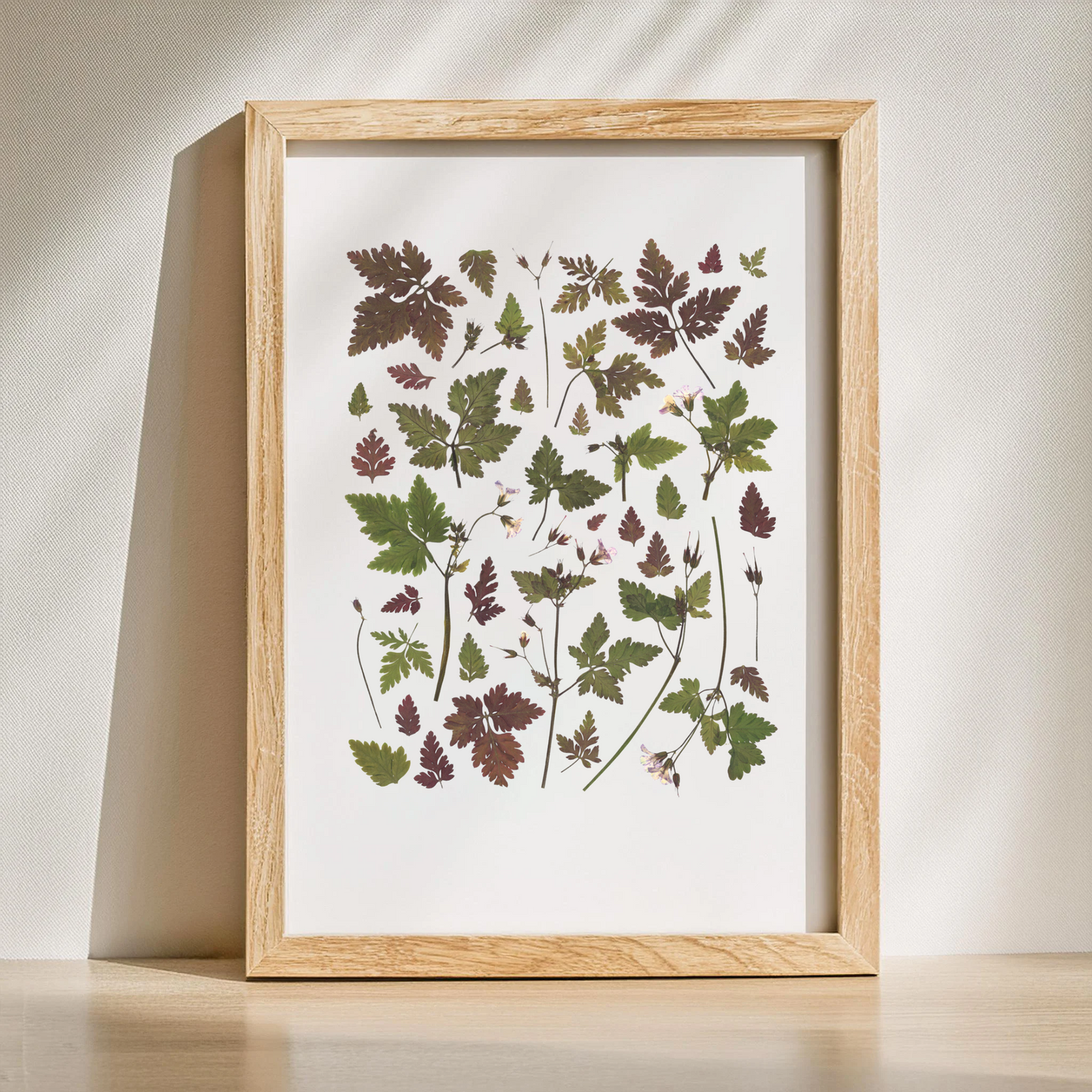 Herbier Grand Vert - Taille L