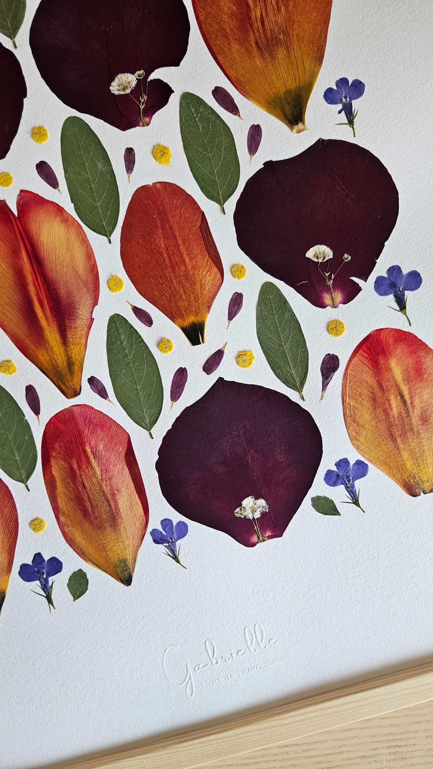 Herbier Funy - 29,7x42cm