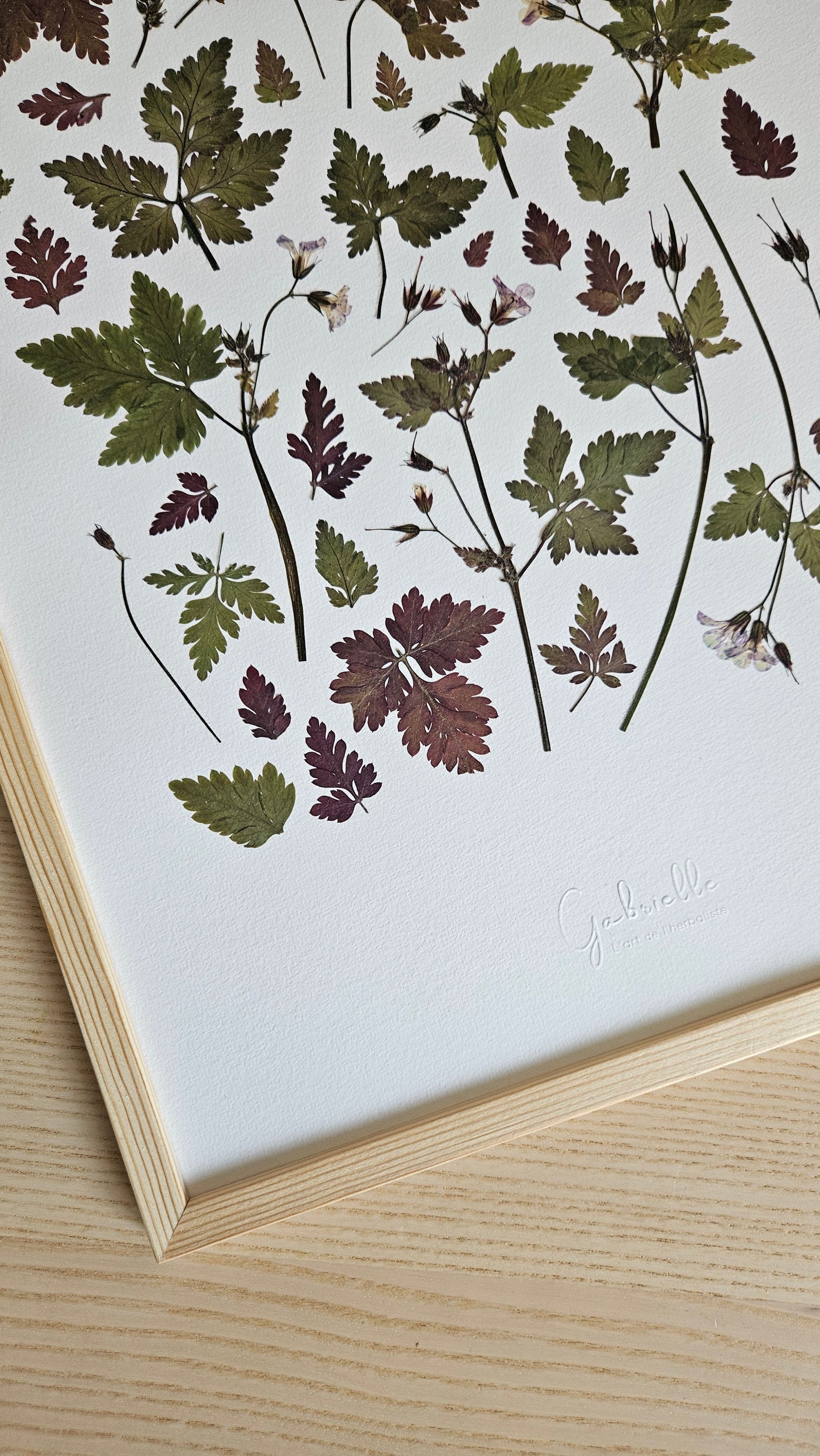 Herbier Grand Vert - Taille L