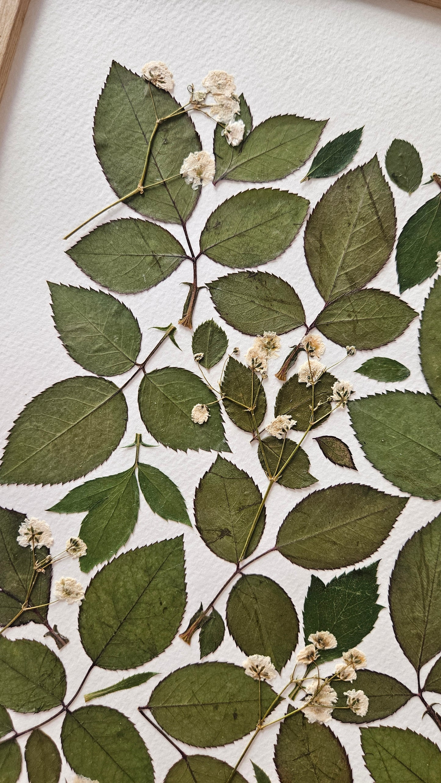 Herbier Florilège - 30x40cm