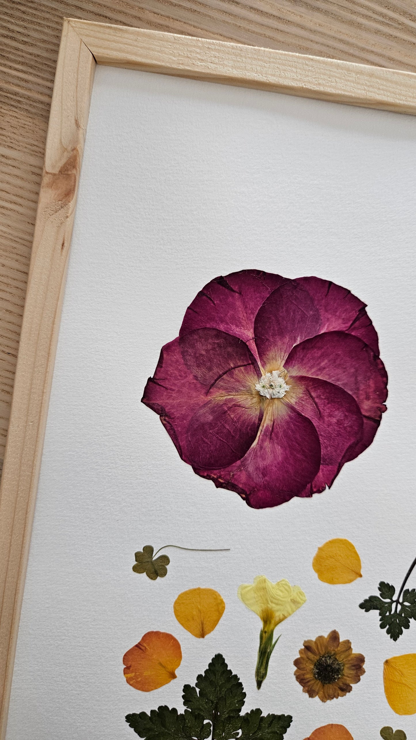 Herbier Jungle - 29,7x42cm