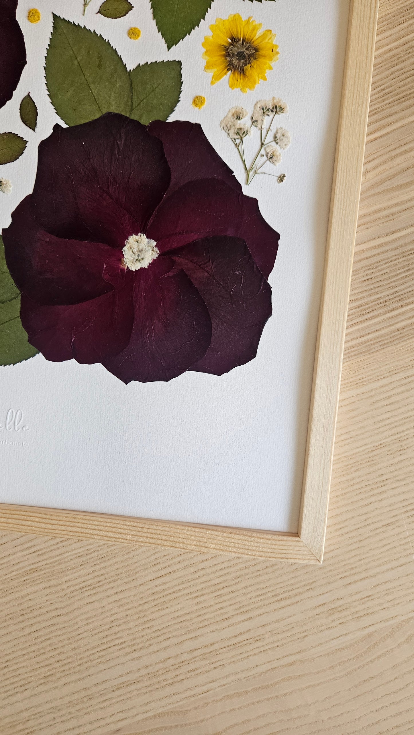 Herbier Fancy - 29,7x42cm