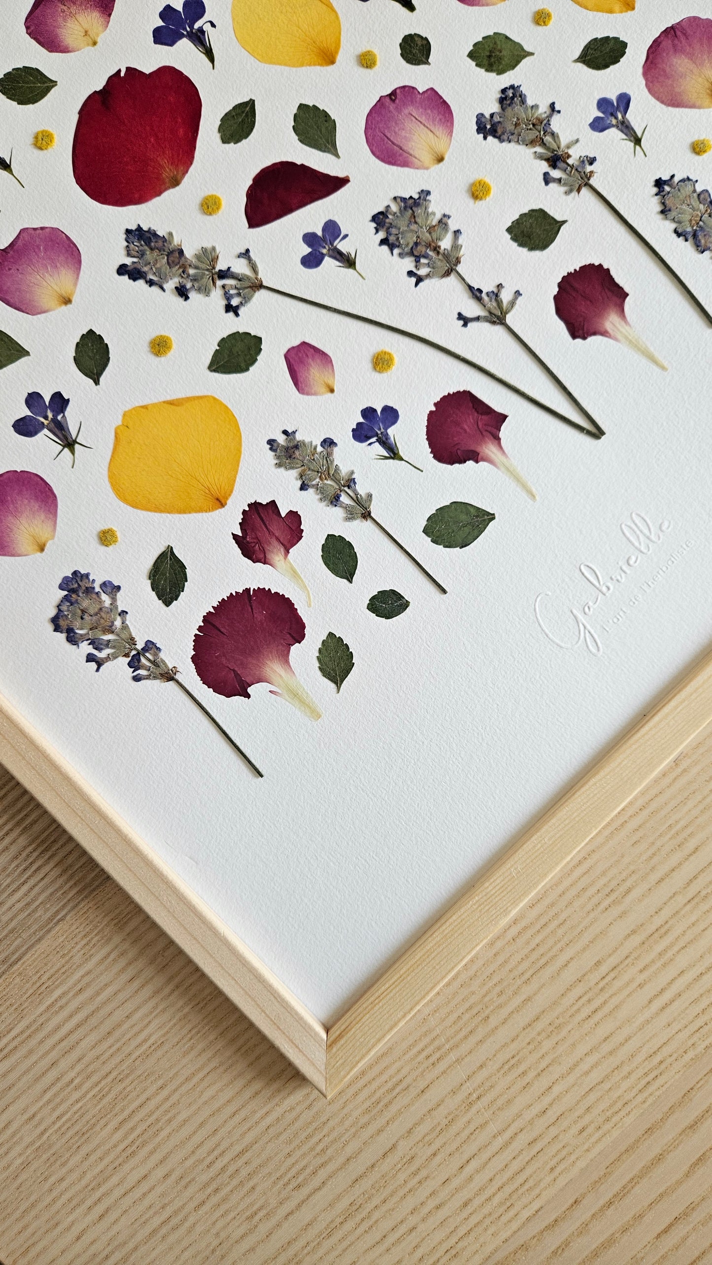 Herbier Zesty - 29,7x42cm