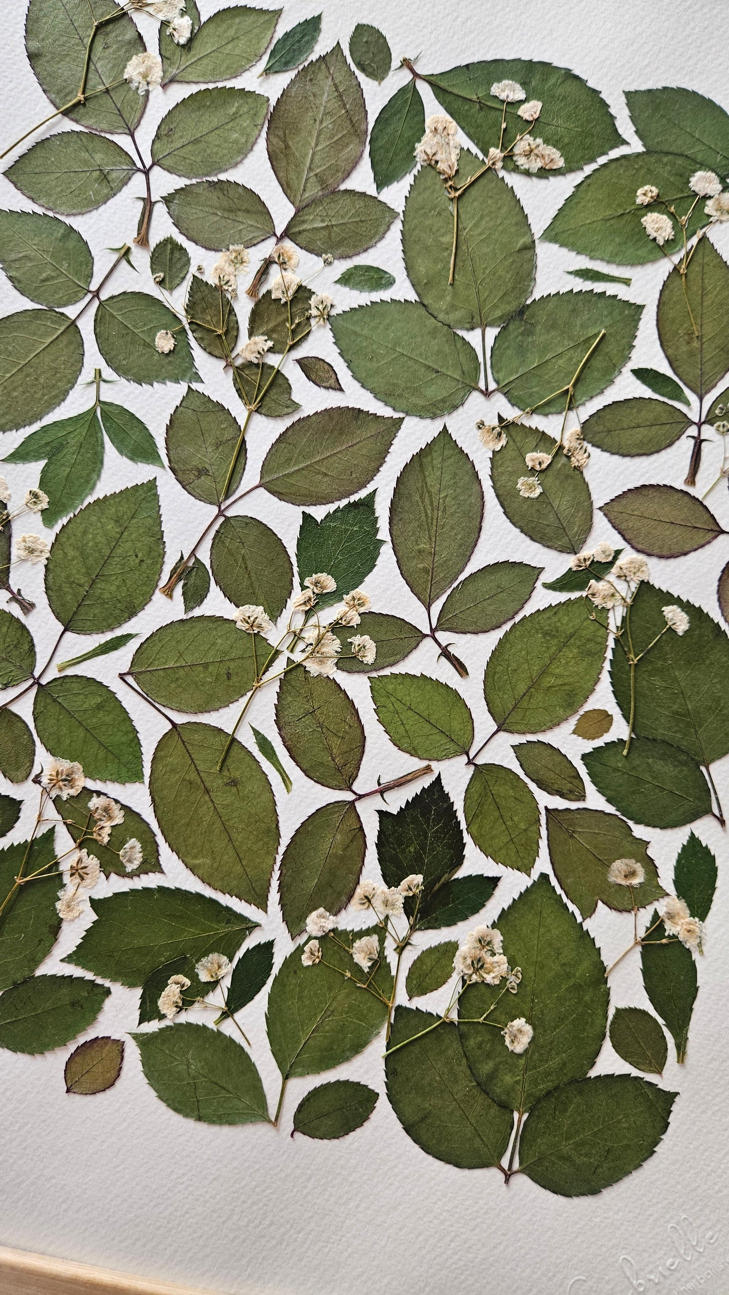 Herbier Florilège - 30x40cm