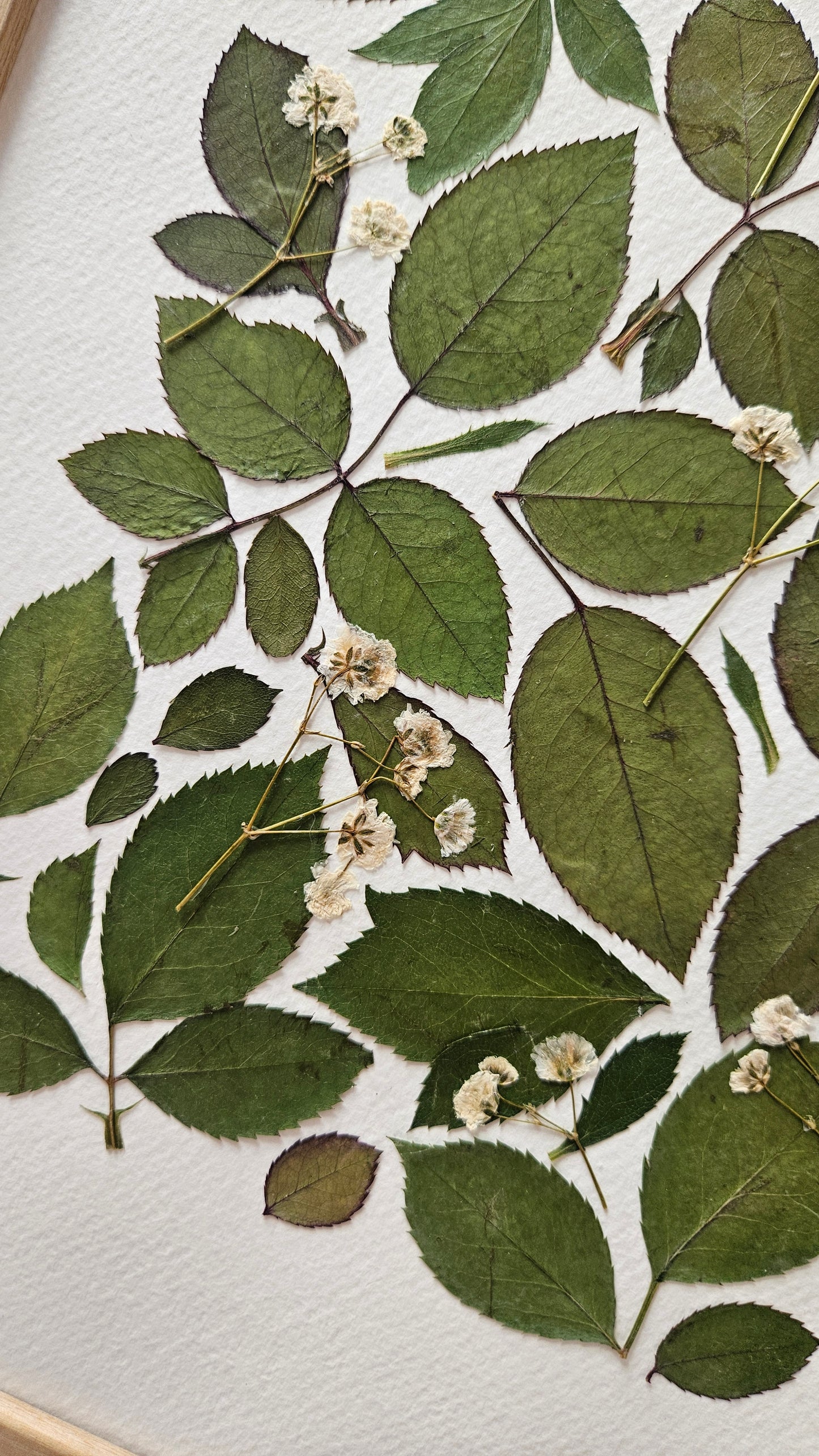 Herbier Florilège - 30x40cm