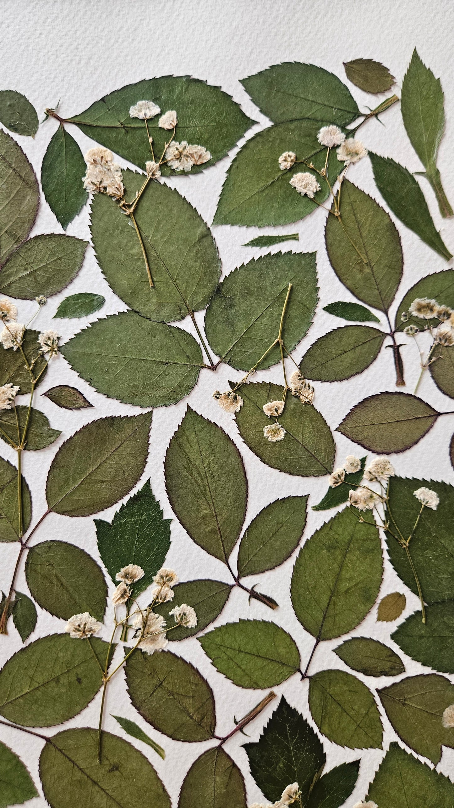 Herbier Florilège - 30x40cm