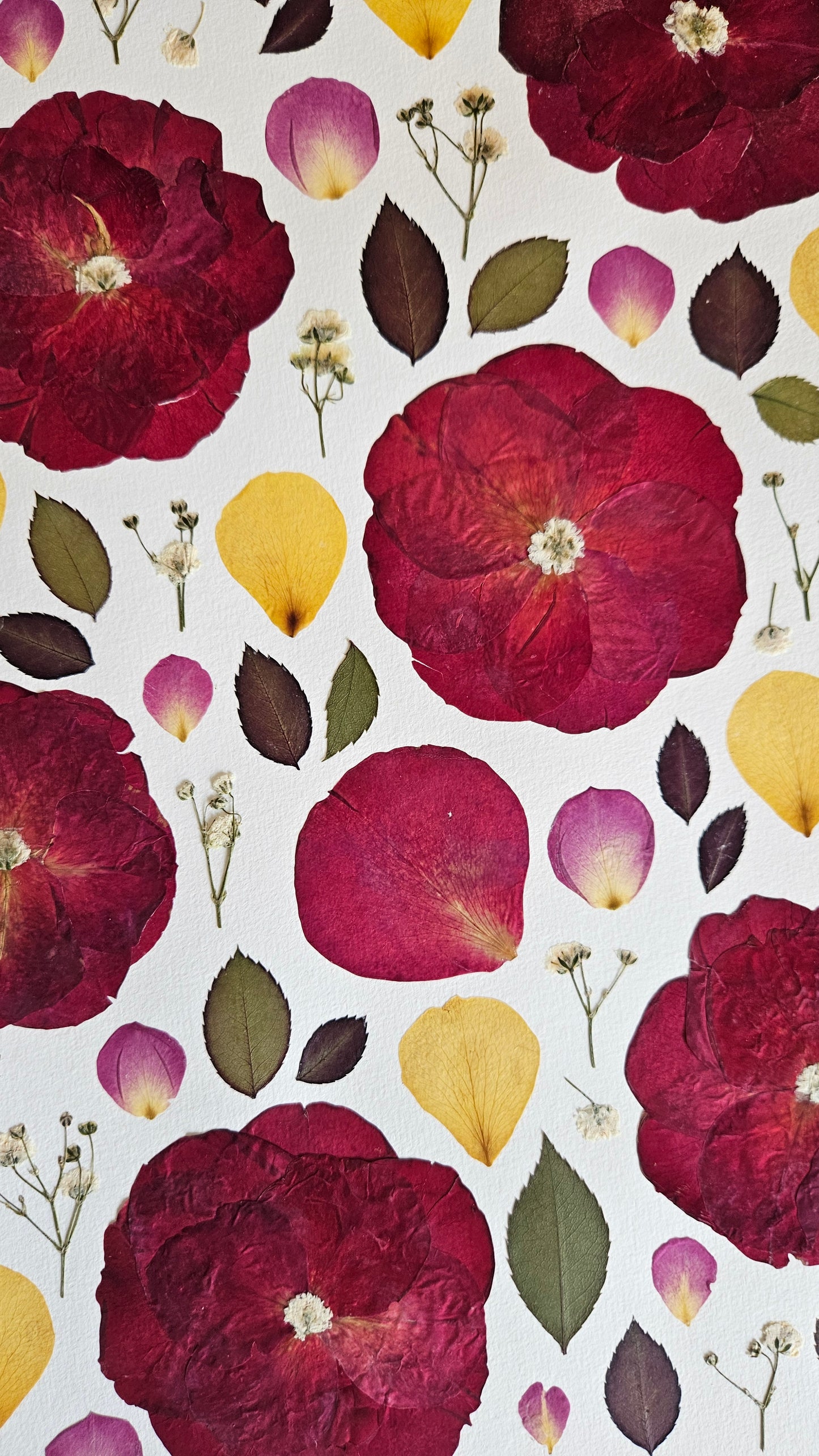 Herbier Happy - 29,7x42cm