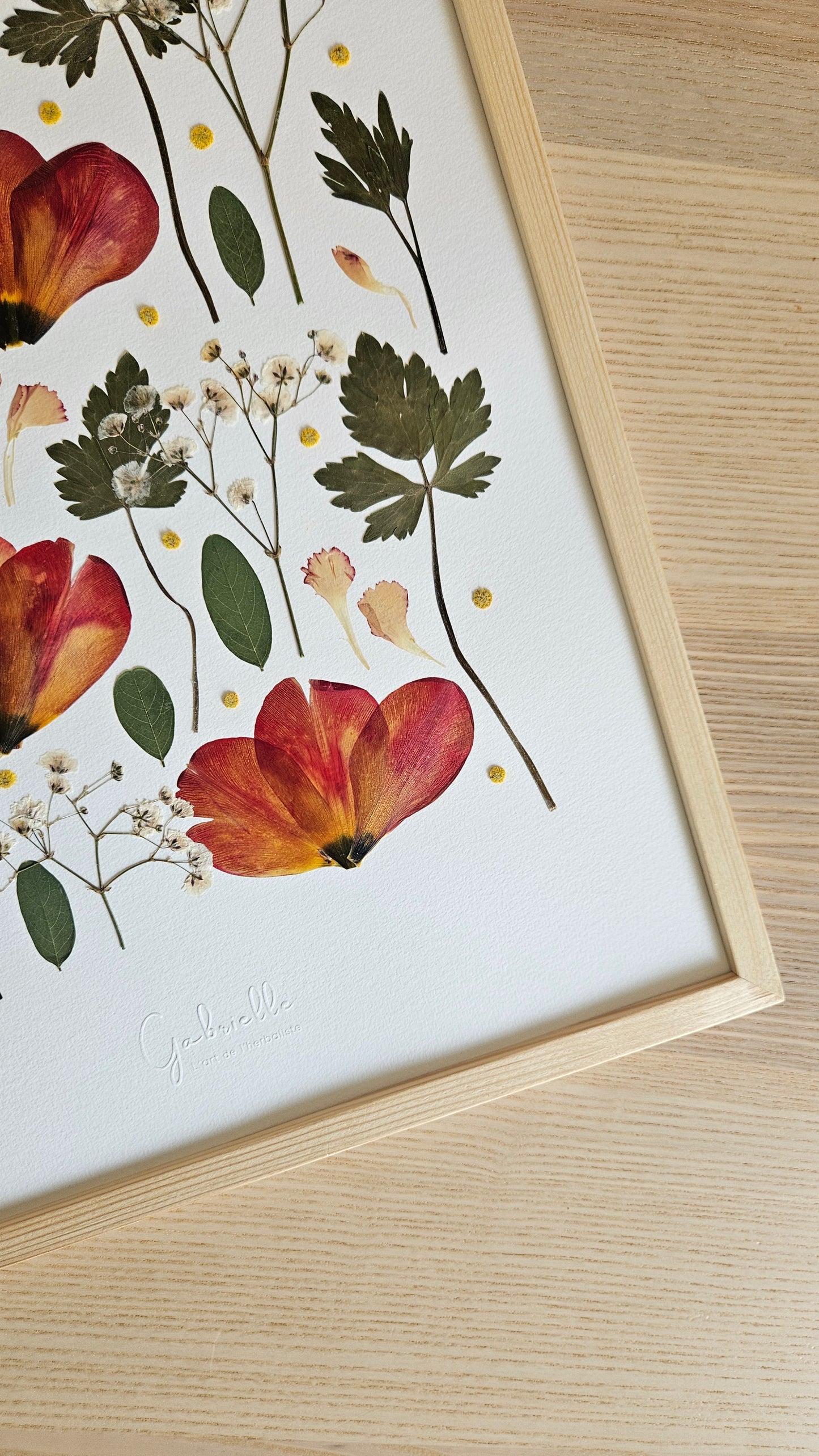 Herbier Shiny - 29,7x42cm