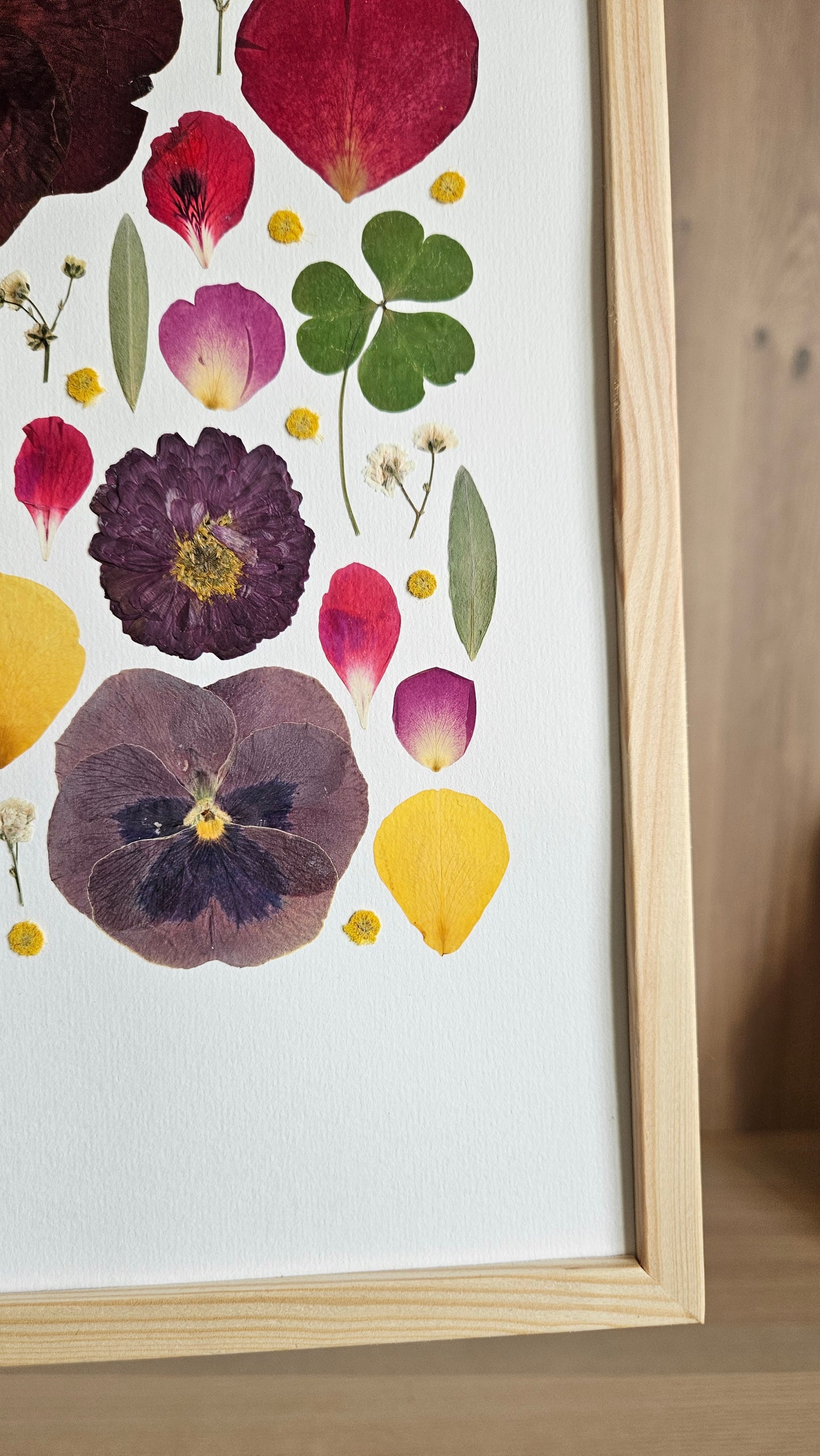 Herbier Energy - 29,7x42cm