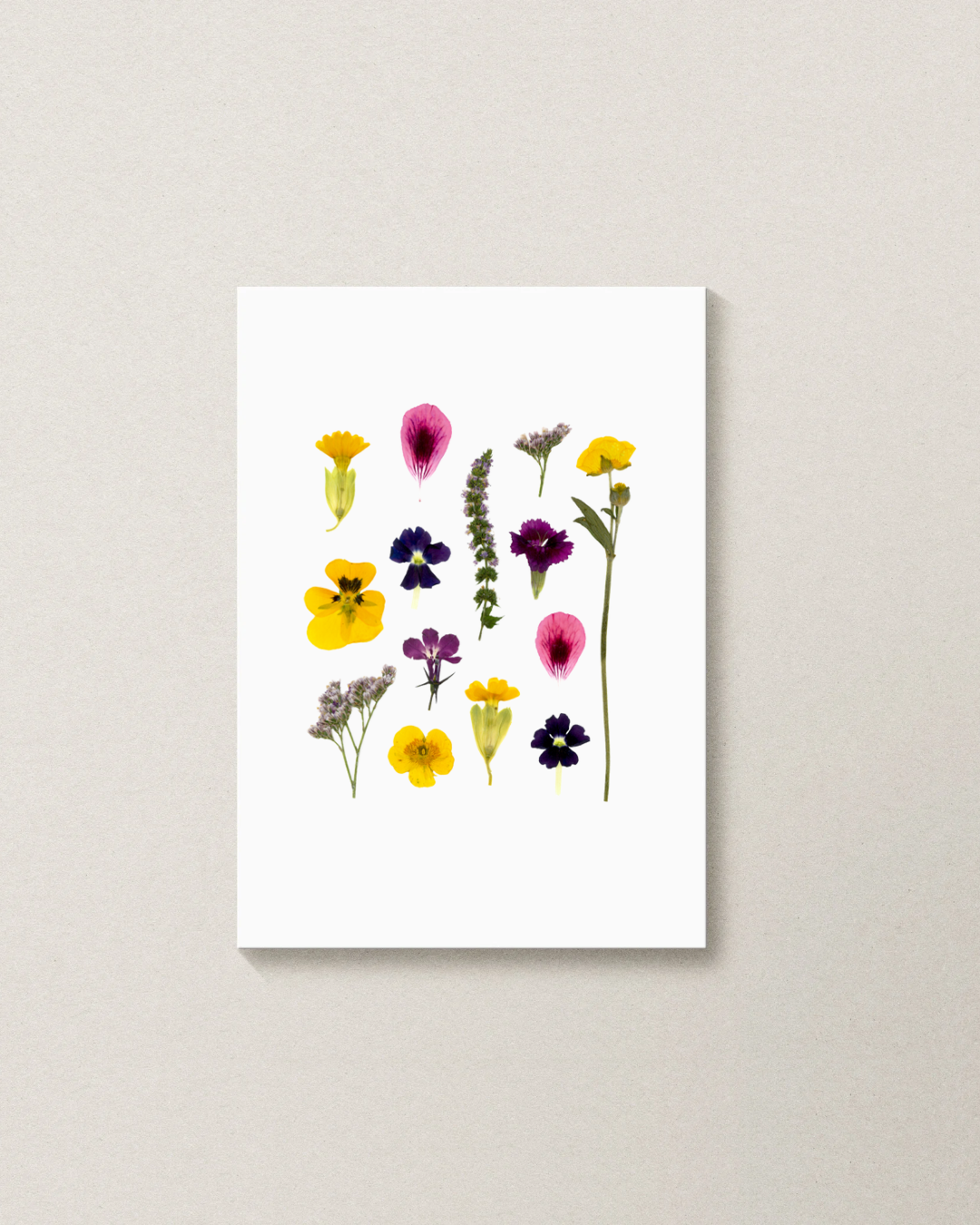 Affiche Botanique - Taille S